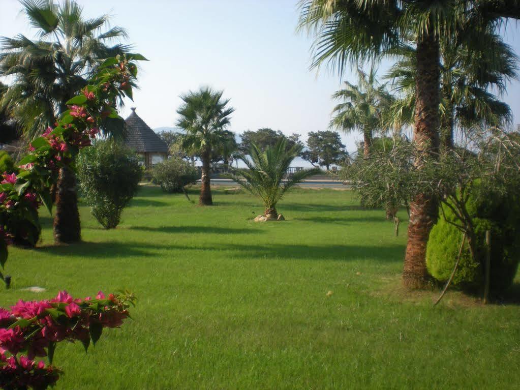 Hotel Le Ruesco Ольмето Экстерьер фото